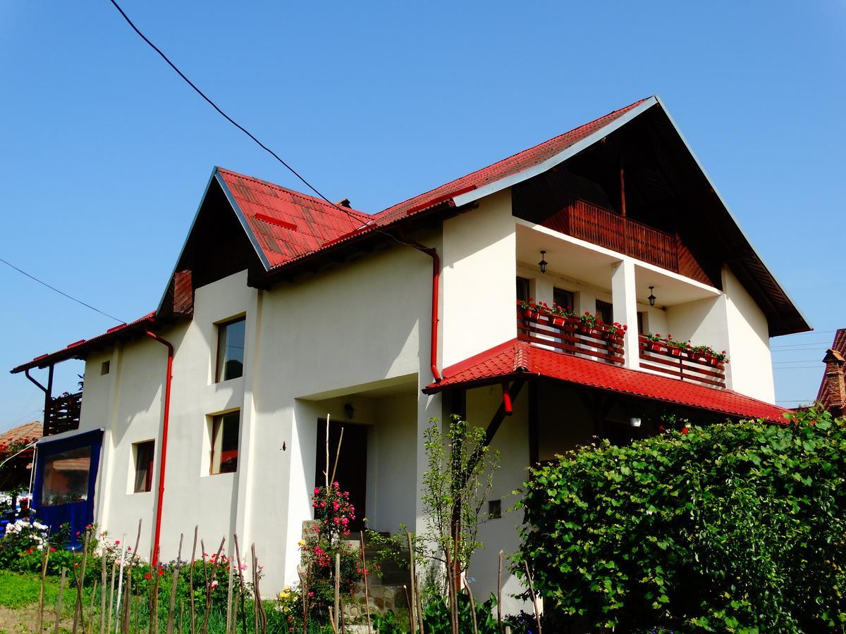 Pensiunea Casa Elena Corbeni Exterior foto