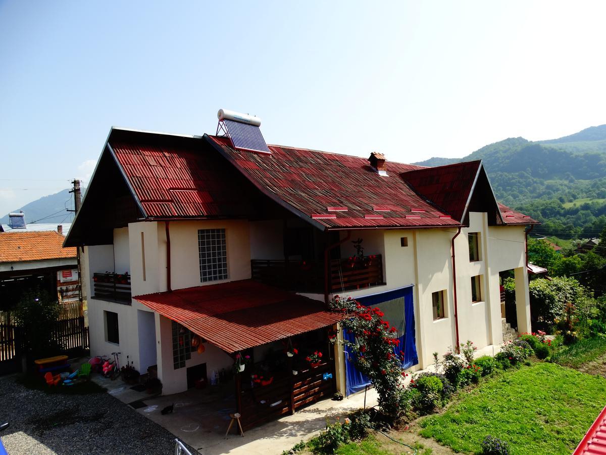 Pensiunea Casa Elena Corbeni Exterior foto